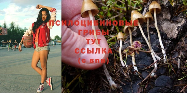 меф Михайловск