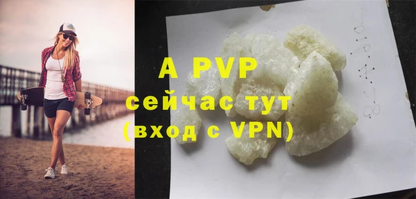 мяу мяу мука Белокуриха