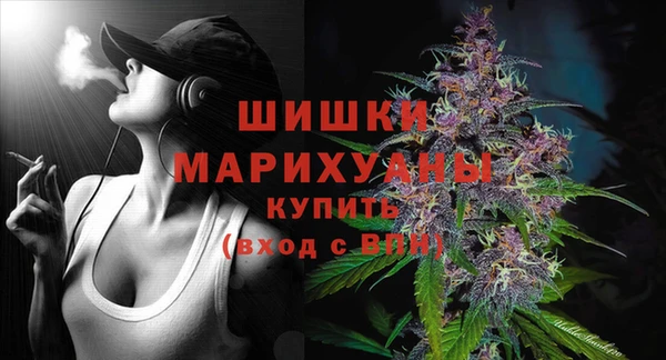 мяу мяу мука Белокуриха
