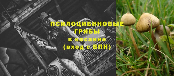 ECSTASY Михайлов
