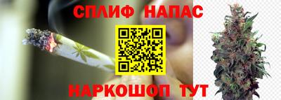 хмурый Апшеронск