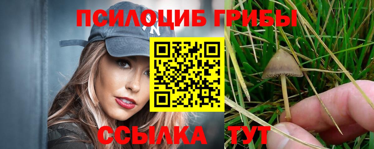 Белорецк  Псилоцибиновые грибы мицелий  Вход с VPN 
